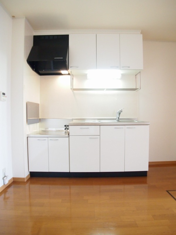 ��ʌ��k�����S�ɓޒ��w���S���ڂ̃A�p�[�g�̃L�b�`��