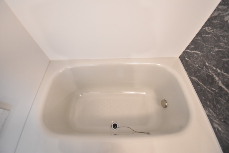 ��ʌ�����s�厚���s�̍��݂̃A�p�[�g�̃o�X