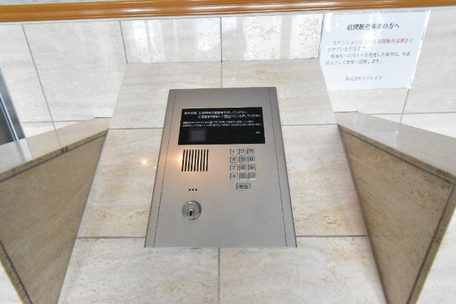 ��ʌ������s�����U���ڂ̃}���V�����̂��̑�