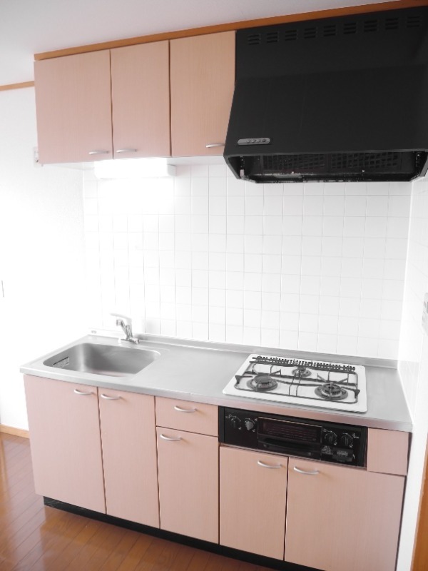 ��ʌ��k�����S�ɓޒ��h�R���ڂ̃}���V�����̃L�b�`��