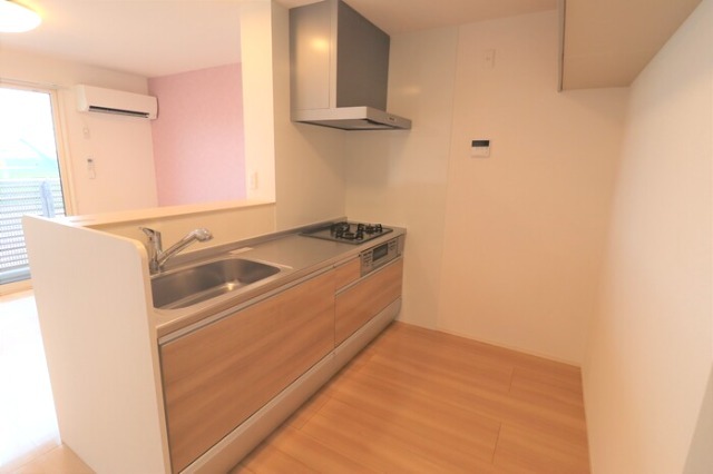 ��ʌ��z�J�s���C�N�^�E���U���ڂ̃A�p�[�g�̃L�b�`��