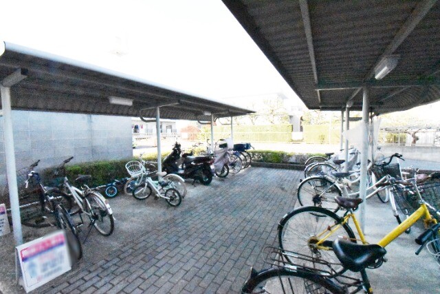 ��ʌ�����s������U���ڂ̃}���V�����̂��̑�