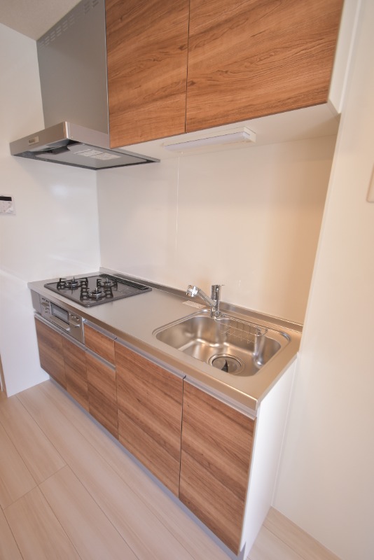 ��ʌ��������܎s�Y�a��{���T���ڂ̃A�p�[�g�̃L�b�`��