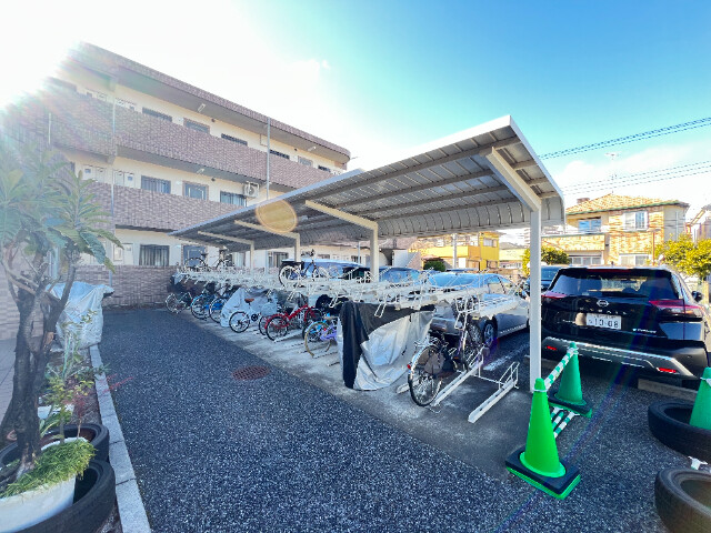 ��ʌ�����s�����J�{���S���ڂ̃}���V�����̂��̑�