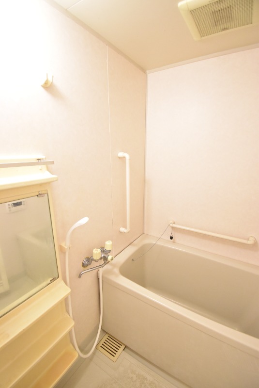 ��ʌ������s�_���Q���ڂ̃}���V�����̃o�X