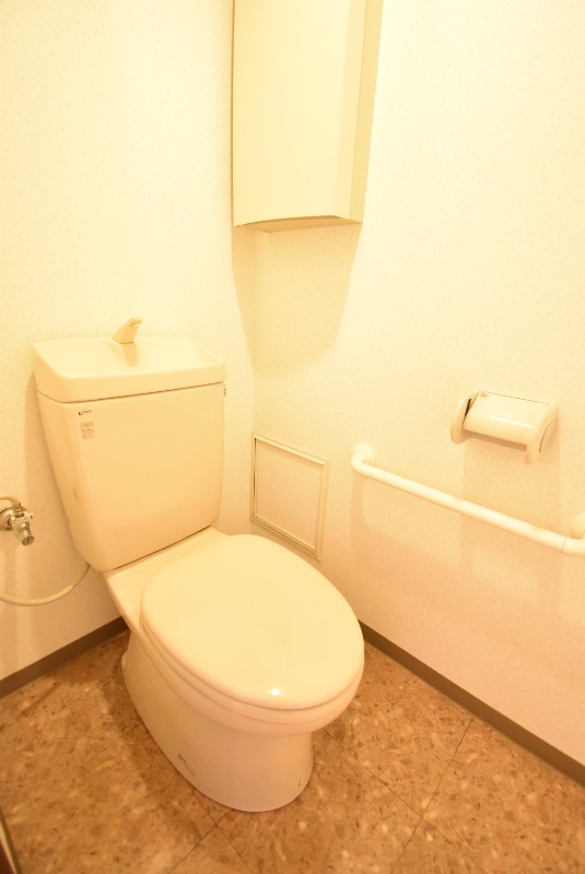 ��ʌ������s�_���Q���ڂ̃}���V�����̃g�C��