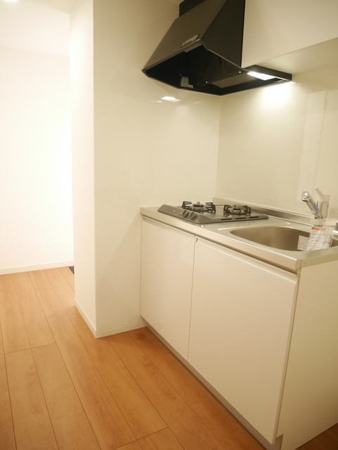 ��ʌ��������܎s������厚���[��̃A�p�[�g�̃L�b�`��