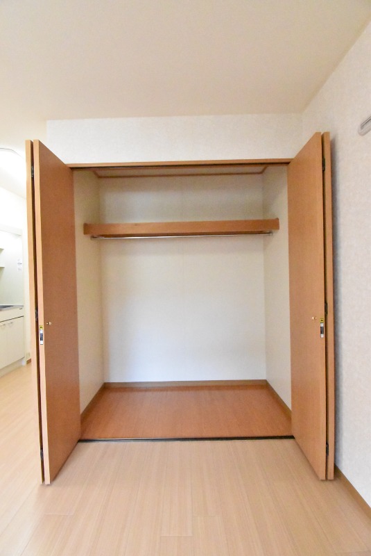 ��ʌ�����s�厚���̃}���V�����̎��[