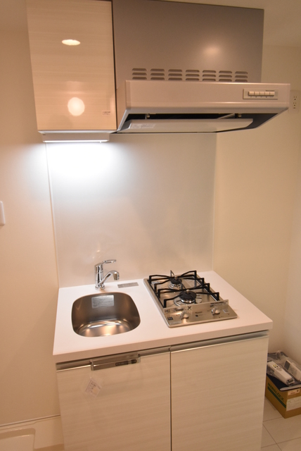 ��ʌ��������܎s�Y�a���؍�S���ڂ̃A�p�[�g�̃L�b�`��