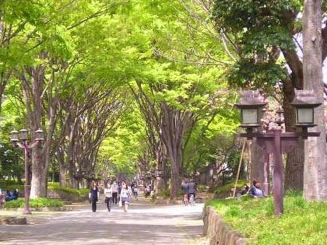 ��ʌ��������܎s��{��x�̓����R���ڂ̃A�p�[�g�̎���