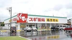 ��ʌ��������܎s��΋挴���̃e���X�n�E�X�̎���