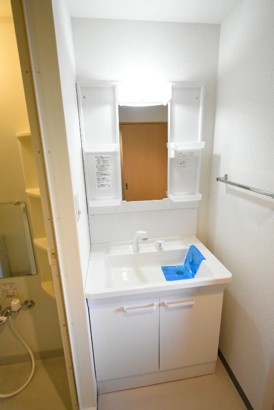 ��ʌ�����s�厚���s�̃}���V�����̐��ʏ�