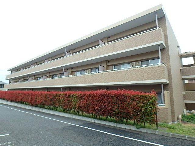 ��ʌ�����s�厚���s�̃}���V�����̌����O��