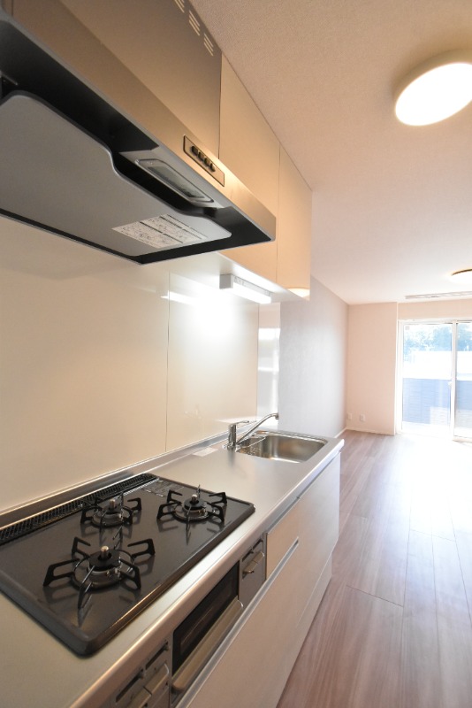 ��ʌ��������܎s�k��������Q���ڂ̃A�p�[�g�̃L�b�`��