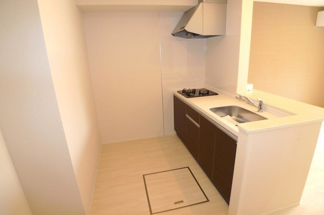 ��ʌ�����s�厚���L�˂̃A�p�[�g�̃L�b�`��