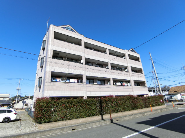 ��ʌ�����s����U���ڂ̃}���V�����̂��̑�