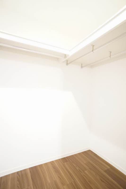 ��ʌ��������܎s��{��g�~���R���ڂ̃}���V�����̎��[