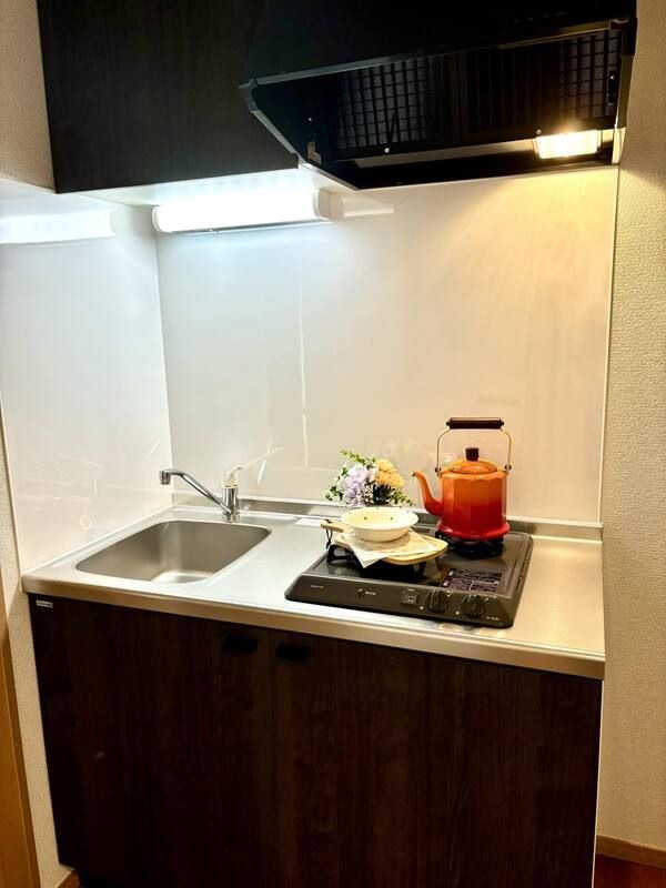 ��ʌ��������܎s�������a�c���Q���ڂ̃A�p�[�g�̃L�b�`��