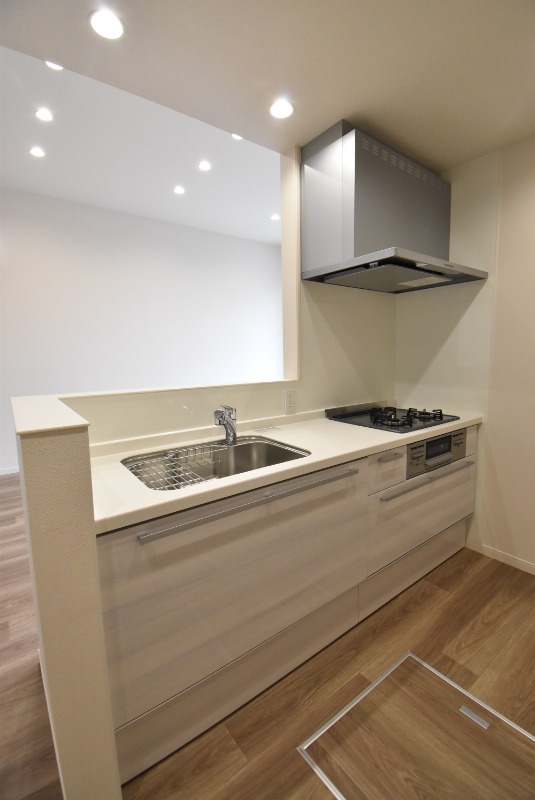 ��ʌ��������܎s�΋�����T���ڂ̃e���X�n�E�X�̃L�b�`��