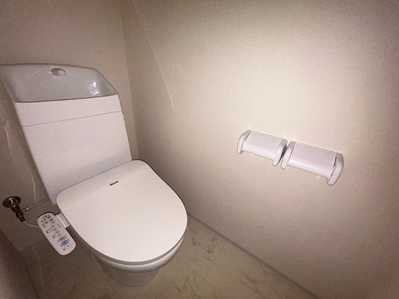 ��ʌ��������܎s�������˂Q���ڂ̃}���V�����̃g�C��