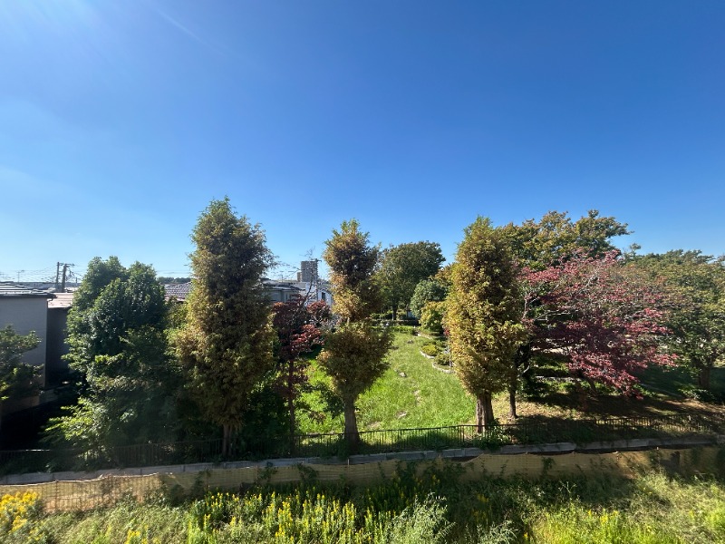 ��ʌ��������܎s�������˂Q���ڂ̃}���V�����̂��̑�