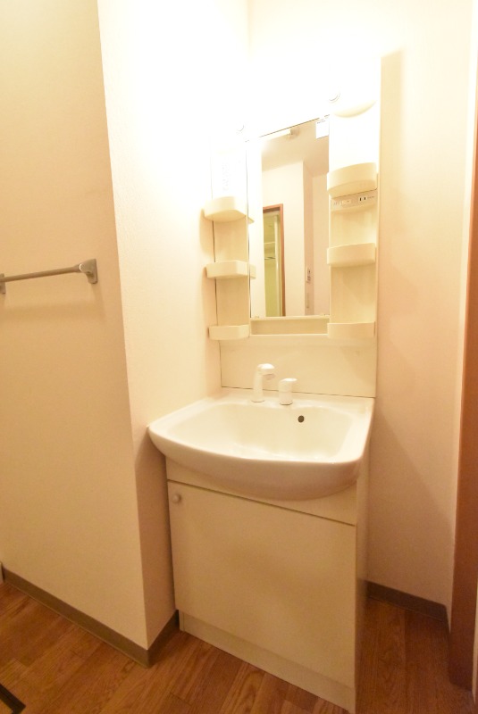 ��ʌ�����s�厚������̃}���V�����̐��ʏ�