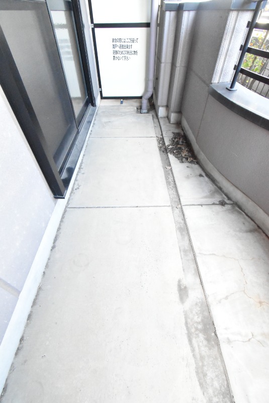 ��ʌ�����s�厚������̃}���V�����̃o���R�j�[