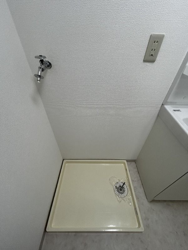 ��ʌ��������܎s�Y�a�挳���P���ڂ̃}���V�����̂��̑�