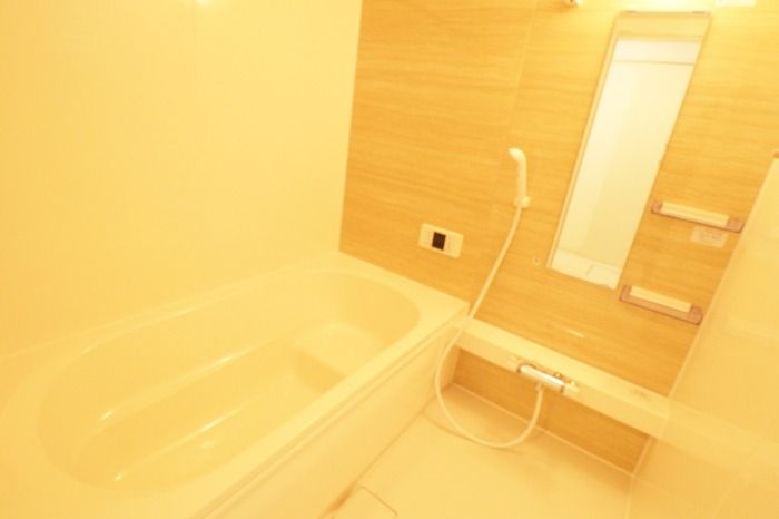 ��ʌ��z�J�s���C�N�^�E���U���ڂ̃A�p�[�g�̃o�X