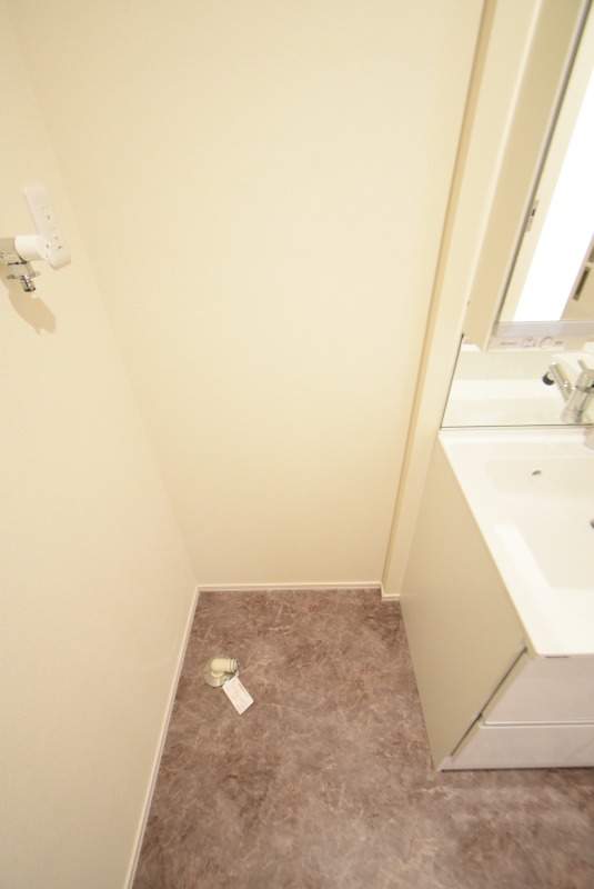 ��ʌ��F�J�s�����P���ڂ̃}���V�����̂��̑�