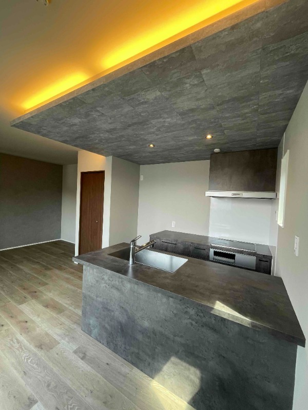 ��ʌ�����s�㒬�Q���ڂ̃A�p�[�g�̃L�b�`��