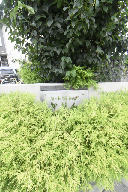 ��ʌ��������܎s������x�蒬�̃A�p�[�g�̎���