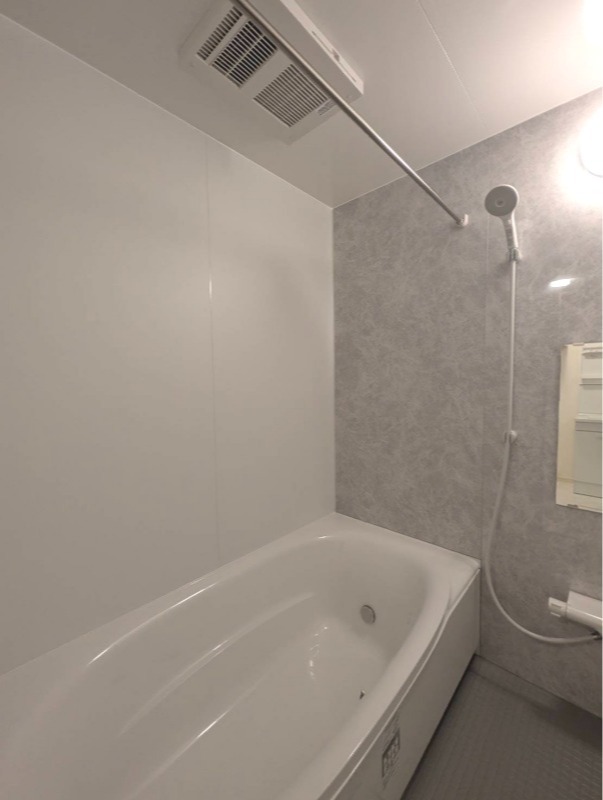 ��ʌ�����s�厚�����̈�ˌ��Ẵo�X