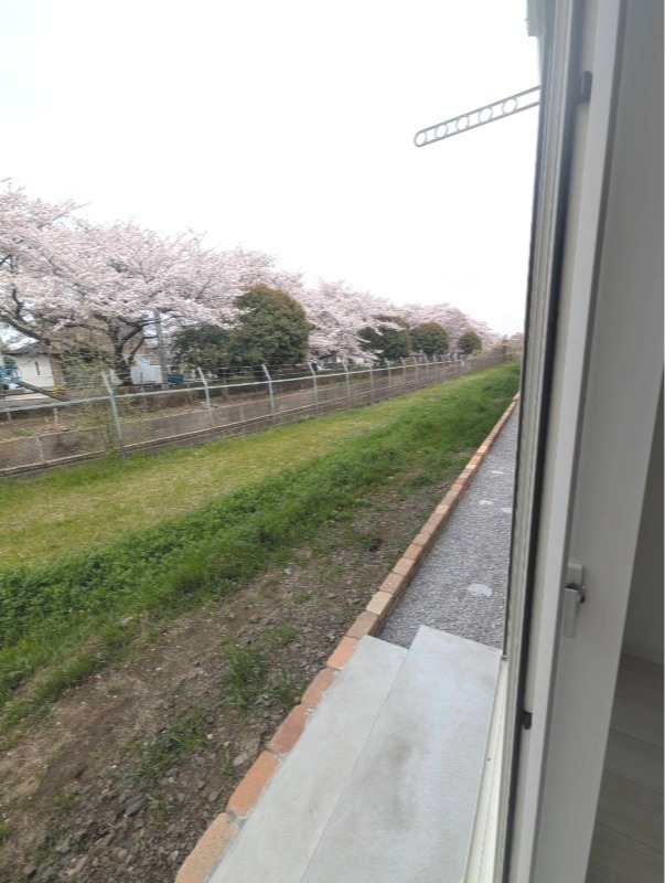 ��ʌ�����s�厚�����̈�ˌ��Ẵo���R�j�[