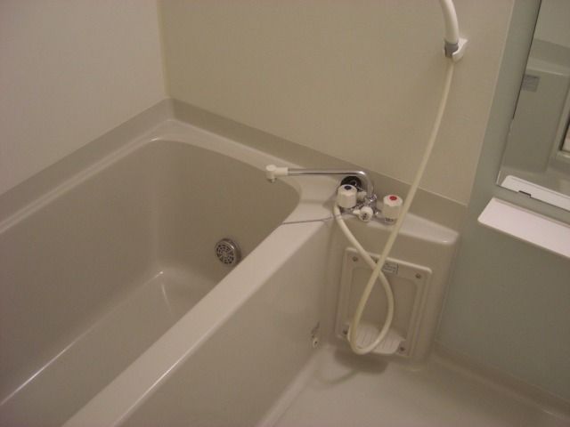 ��ʌ��������܎s�Y�a���؍�P���ڂ̃}���V�����̃o�X