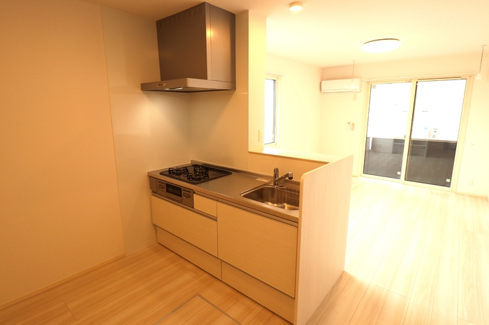 ��ʌ��z�J�s���C�N�^�E���U���ڂ̃A�p�[�g�̃L�b�`��