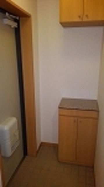 ��ʌ��������܎s�Y�a���؍�P���ڂ̃}���V�����̌���