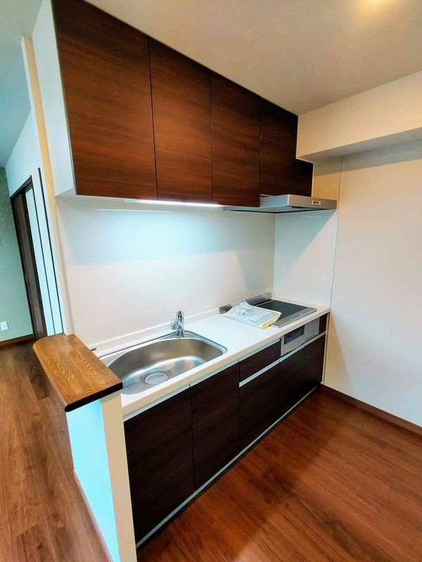 ��ʌ��������܎s���撆���P���ڂ̃}���V�����̃L�b�`��