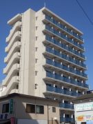 ��ʌ��������܎s��{��g�~���Q����85-3�̃}���V�����̌����O��