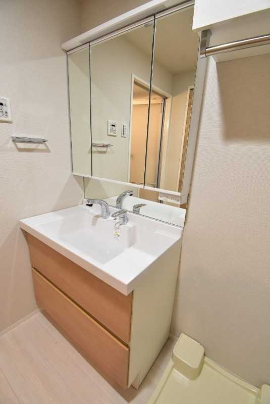 ��ʌ��������܎s��{��g�~���P���ڂ̃}���V�����̐��ʏ�