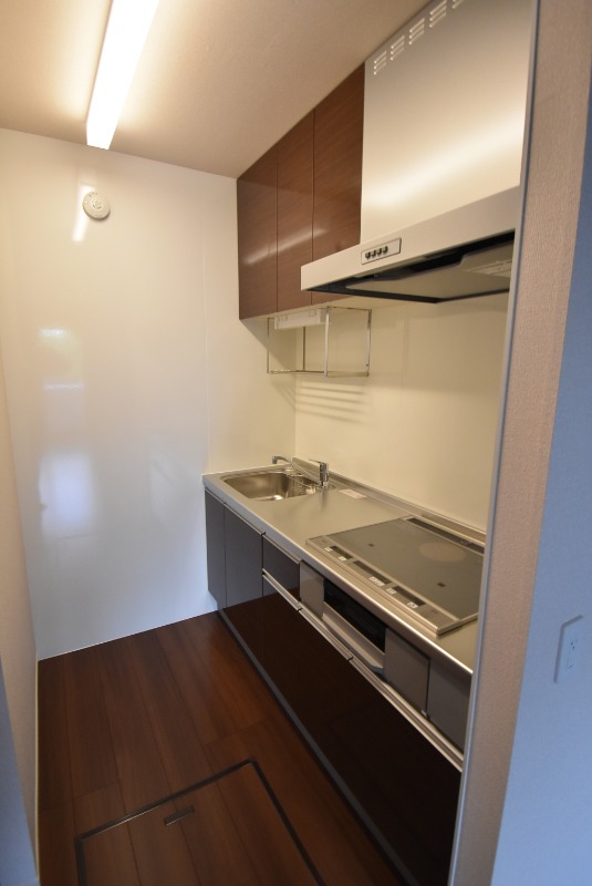 ��ʌ��������܎s�k����i���Q���ڂ̃A�p�[�g�̃L�b�`��