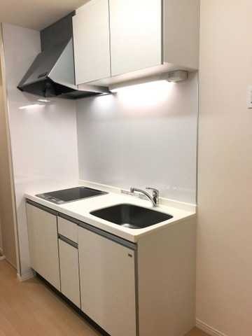 ��ʌ��z�J�s���C�N�^�E���U���ڂ̃A�p�[�g�̃L�b�`��