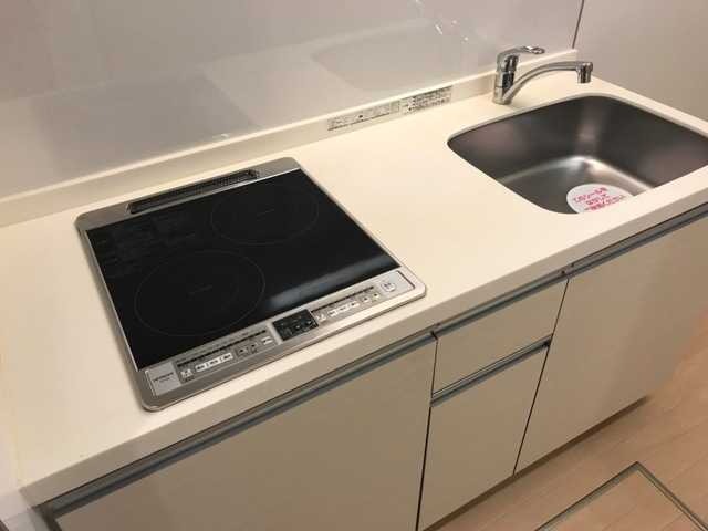 ��ʌ��z�J�s���C�N�^�E���U���ڂ̃A�p�[�g�̃L�b�`��