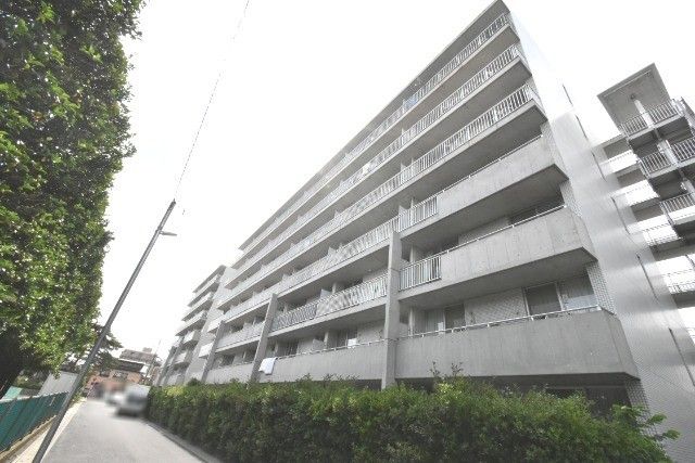 ʌ܎skyCP41-2̃}V̌O