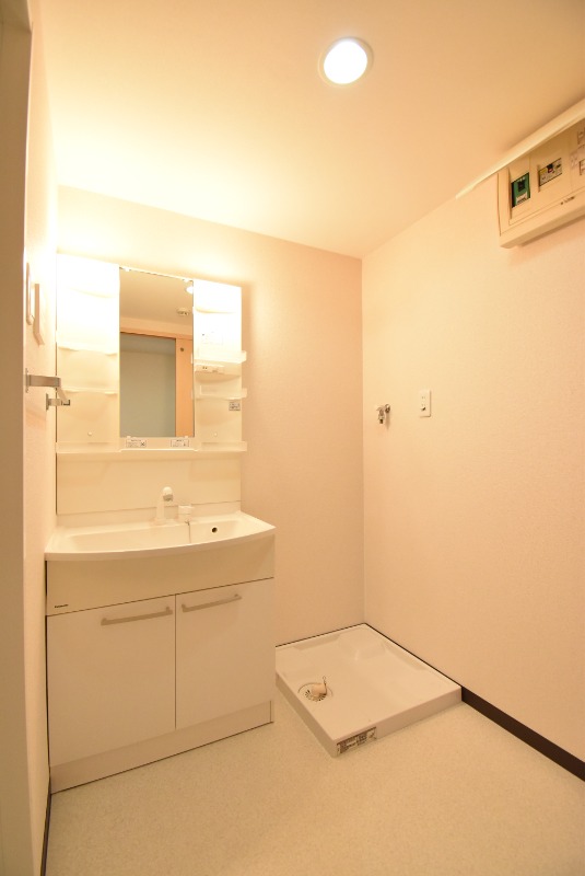 ��ʌ��������܎s�΋�厚���̃}���V�����̐��ʏ�