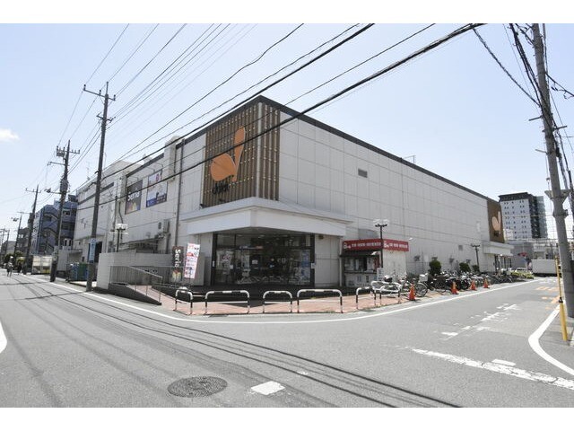 ��ʌ��������܎s�΋�厚���̃}���V�����̎���