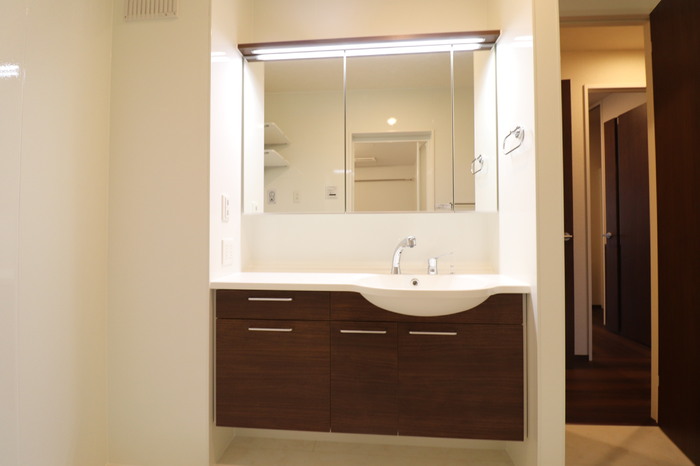 ��ʌ��������܎s�΋�厚�����̃A�p�[�g�̐��ʏ�