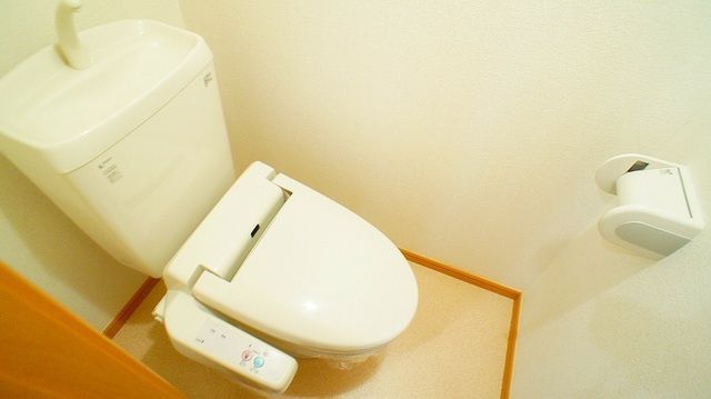 ��ʌ�����s���V���̃}���V�����̃g�C��