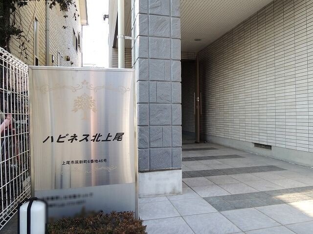 ��ʌ�����s���V���̃}���V�����̃G���g�����X