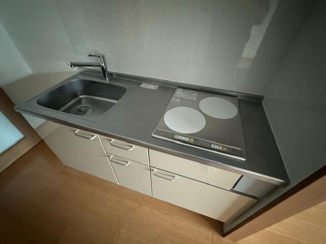 ��ʌ��z�J�s���C�N�^�E���U���ڂ̃}���V�����̃L�b�`��